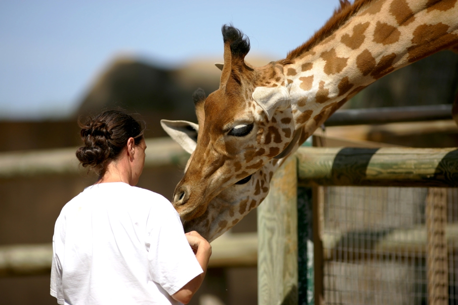 Soigneur animalier / Soigneuse animalière