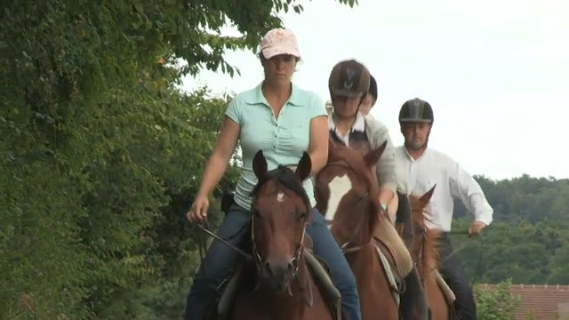 Enseignant / Enseignante d'équitation