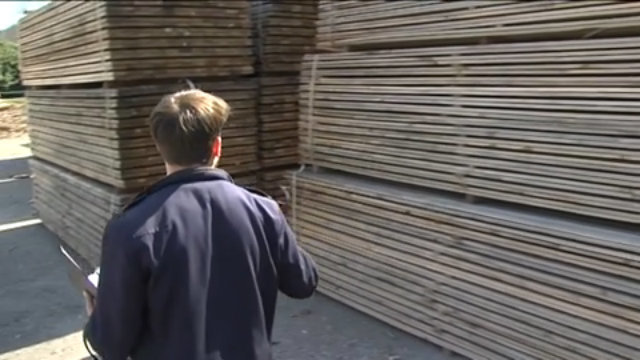 Négociant / Négociante en bois