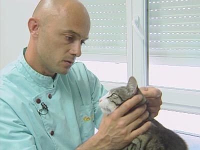 Directeur / Directrice de laboratoire d'analyses vétérinaires