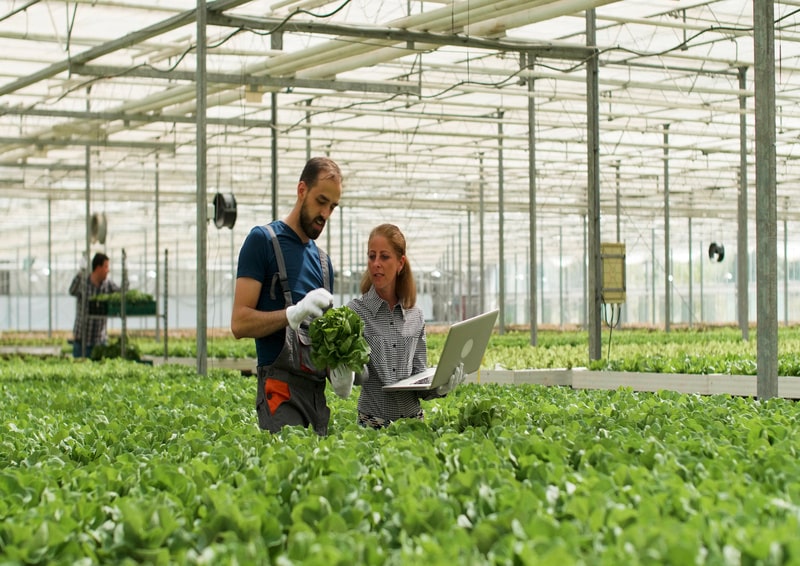Ingénieur / Ingénieure agronome