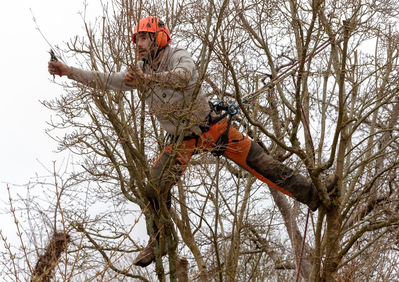 Arboriculteur / Arboricultrice