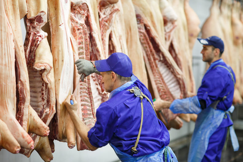 Ouvrier / Ouvrière d'abattoir