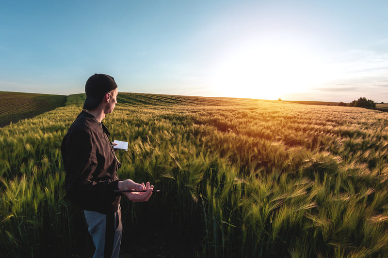 Chef / Cheffe de culture responsable d'unité de production agricole