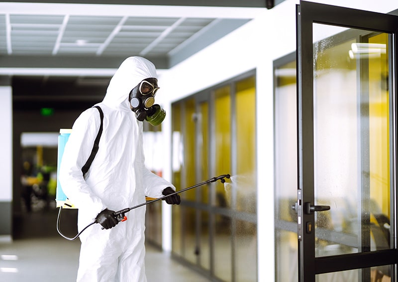 Agent / Agente de désinsectisation