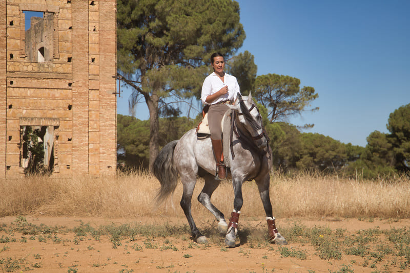Cavalier / Cavalière de spectacle