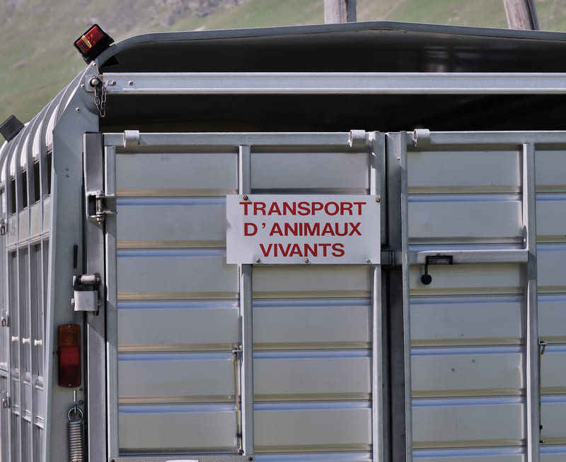 Conducteur / Conductrice de transport animalier