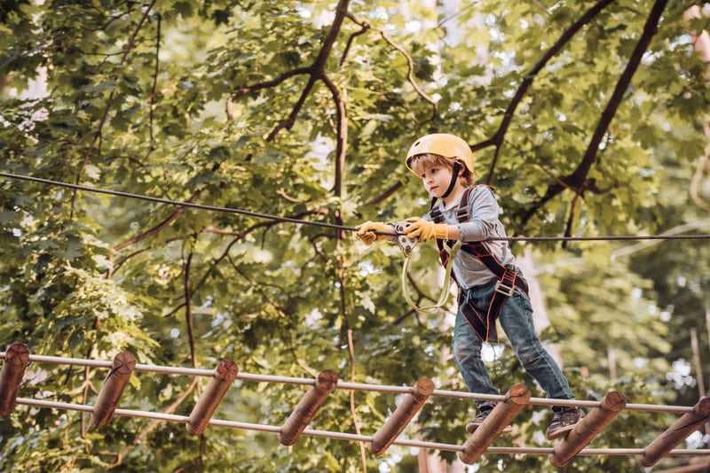 Opérateur / Opératrice de parcours acrobatique dans les arbres